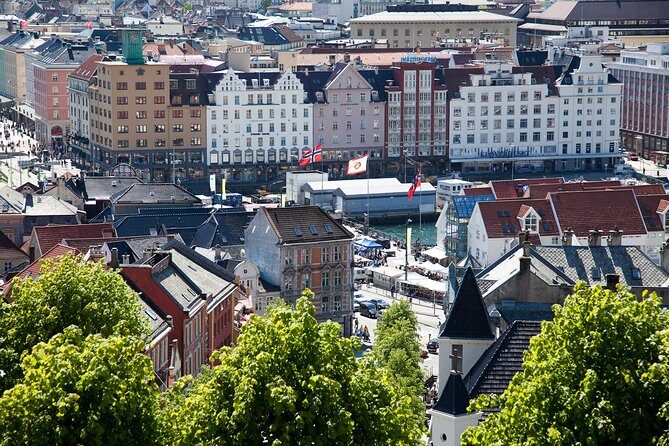 PRIVATE TOUR: Bergen city sightseeing, 3 hours - Best Fit: Who Should Book This Tour
