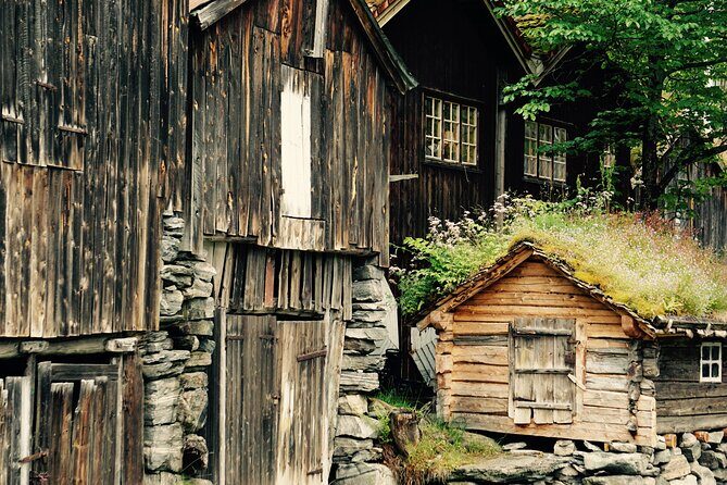 Private tour from Ålesund to Geiranger up to 15 people - Key highlights that make this Ålesund–Geiranger day different