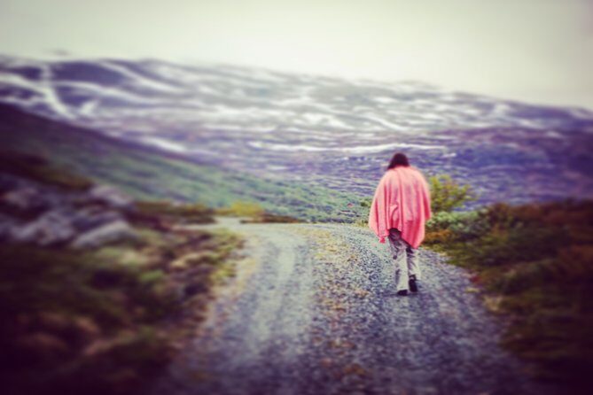 Private tour Geiranger and Glaciers 1 to 15 people - Getting picked up in Eidsdal and settling into the 9-hour rhythm
