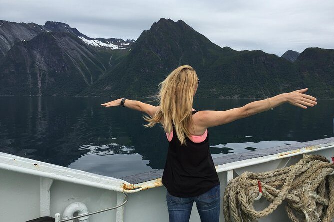 Private tour Geiranger and Glaciers 1 to 15 people - Price and value: $2,123.77 per group up to 4