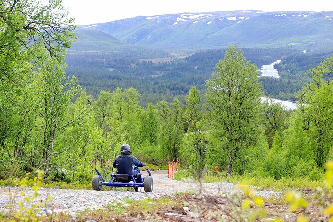 Racing Mountain Cart in Dagali near Geilo, Norway - Racing Mountain Cart in Dagali: what you’re riding