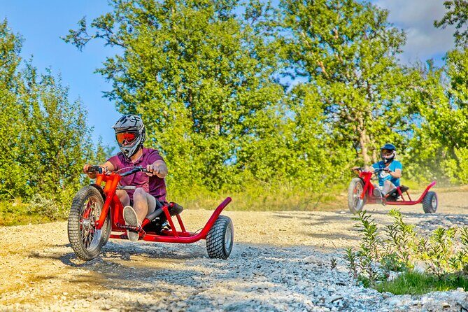 Racing Mountain Cart in Dagali near Geilo, Norway - Who should book this in Norway (and who should skip it)