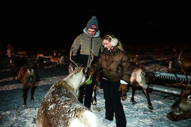 Reindeer Camp Dinner with Chance of Northern Lights in Tromso - The timing: why the pacing feels right (most of the time)