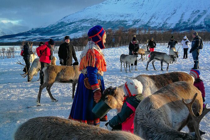 Reindeer Feeding and Sami Culture Afternoon Departure - Price and value: what $182.46 buys you in Tromsø