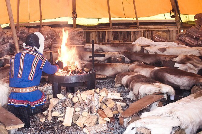 Reindeer Feeding and Sami Culture Including Lunch from Tromso - Comfort and Safety Tips for an Icy Tromsø Day