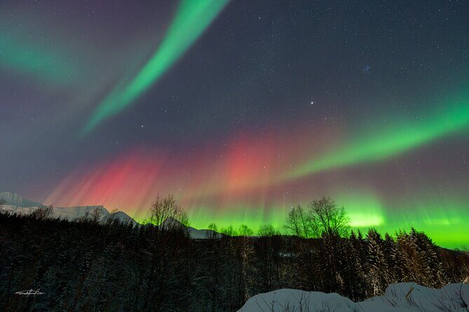 Reindeer Feeding and Sledding, Sami Storytelling Night Tour - Short reindeer sledding: fun, but don’t expect a long trek