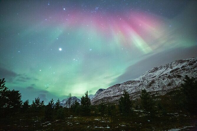 Reindeer Feeding and Sledding, Sami Storytelling Night Tour - What you’re really paying for: animals, Sami culture, and warm food