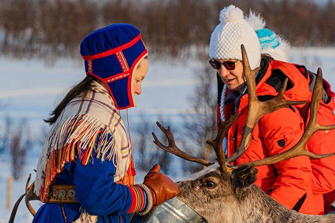 Reindeer feeding & Saami Culture - Tromsø logistics that matter: Radisson Blu pickup and a 4.5-hour plan