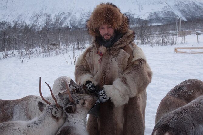 Reindeer feeding & Saami Culture - Price and value in Tromsø reindeer country