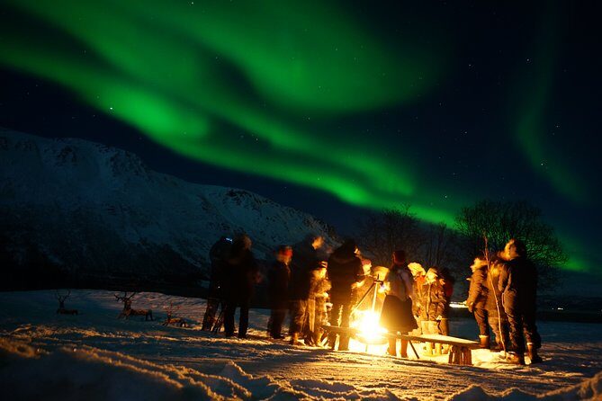 Reindeer feeding & Saami Culture with chance for Northern Lights - A Lapland-Style Evening Outside Tromsø (Without the All-Day Commitment)