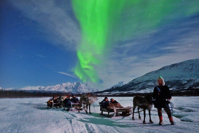 Reindeer Sledding and Feeding with Chance of Northern Lights Tromso - Price and value: is $235.73 worth it?
