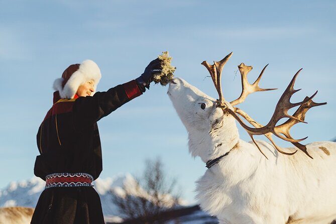 Reindeer Sledding and Feeding with Sami Culture in Tromso. - The Sámi story session in the lavvu-style shelter