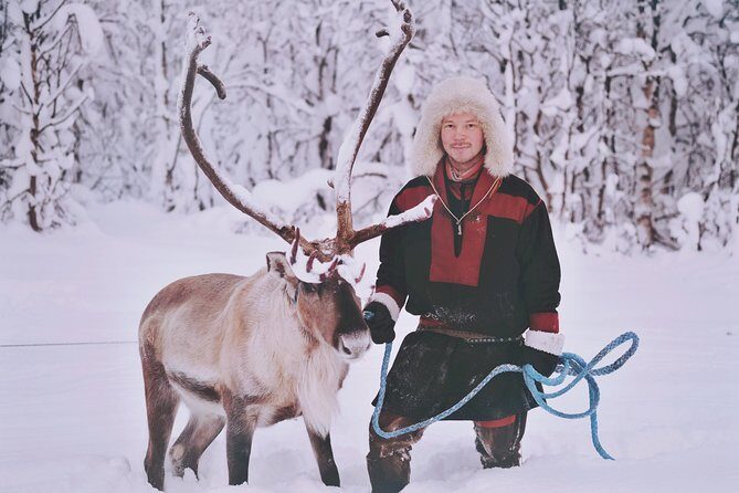 Reindeer Sledding and Feeding with Sami Culture in Tromso. - Reindeer sledding: 30 minutes that depend on snow