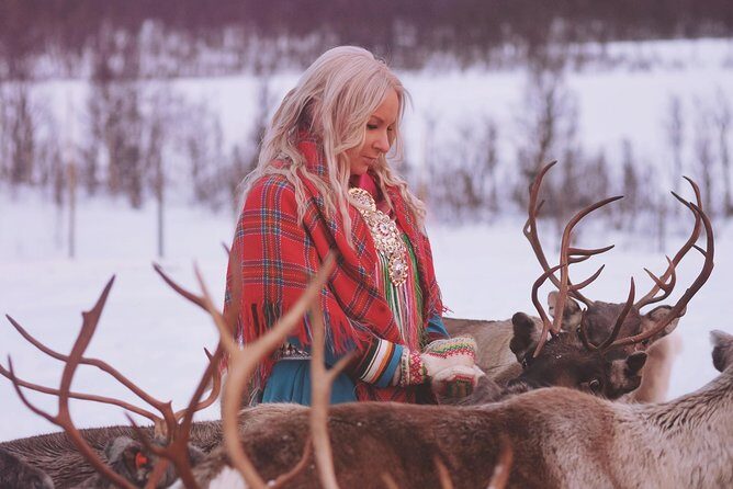 Reindeer Sledding and Feeding with Sami Culture in Tromso. - Lunch, warm drinks, and reindeer stew (plus vegan options)