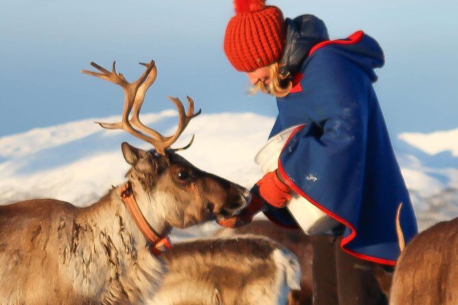 Reindeer Sledding Experience and Sami Culture Tour from Tromso - The 30-minute reindeer sleigh ride: fun, not frantic