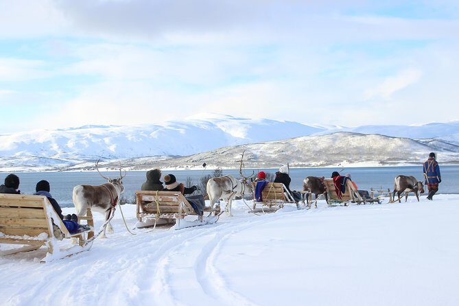 Reindeer Sledding Experience and Sami Culture Tour from Tromso - Itinerary pacing: why this feels like a half-day that works