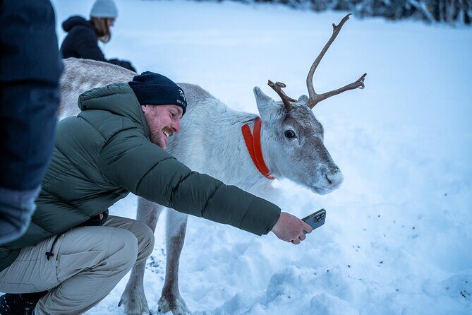 Reindeer Sledding, Feeding And Sami Culture At Reindeer Farm - Timing and Group Size: What 28 People Feels Like