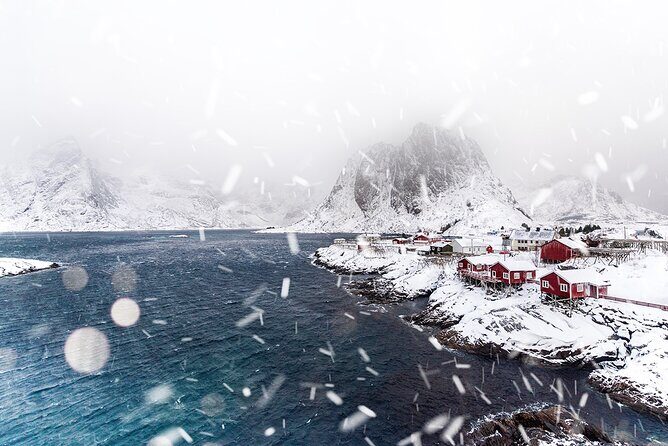 Reine, Hamnøy, Sakrisøy Photo Tour from Svolvær - Guides make or break a photo day
