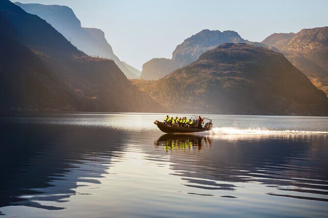 Rib adventure in the Lysefjord with boat house visit - Wildlife spotting: what to watch for (and how not to miss it)