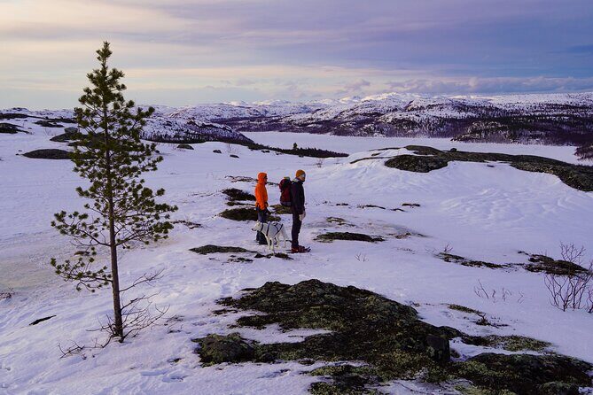Russian Border Snowshoe Hike - Hot Drinks, Snacks, and Photo Stops: Comfort That Doesn’t Ruin the Day