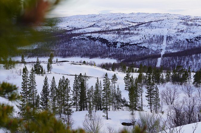 Russian Border Snowshoe Hike - Price and Value: Is $201.88 Worth It?
