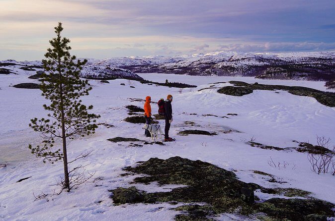 Russian Border Snowshoe Hike - Weather, ID, and Your Winter Checklist