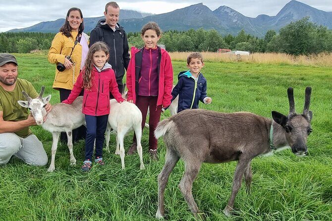 Sami Culture and Reindeer Cuddles Experience - Who This Tour Fits Best (And Who Might Want Another Option)