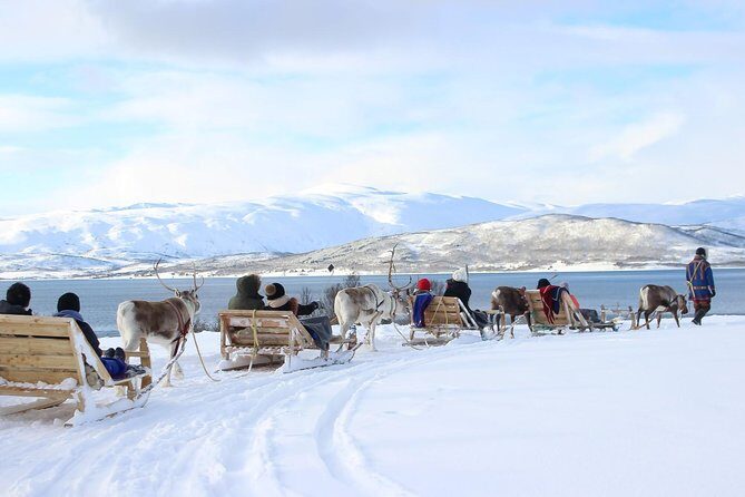 Sami Culture and Short Reindeer Sledding from Tromso - Key highlights you should know before you go
