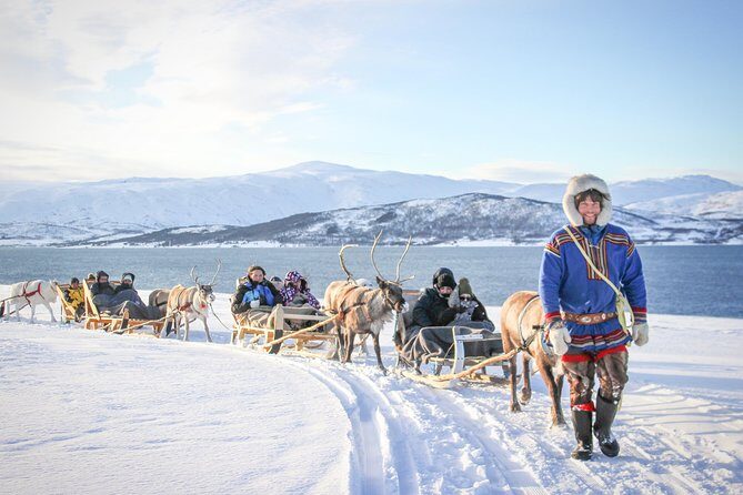 Sami Culture and Short Reindeer Sledding from Tromso - The short sleigh ride over snow: sweet scenery, not a long trek