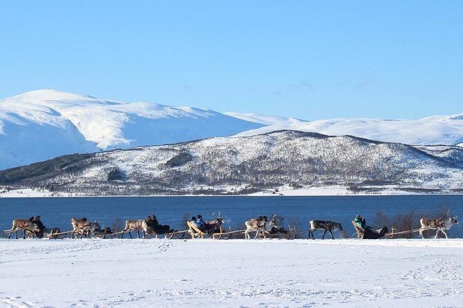 Sami Culture and Short Reindeer Sledding from Tromso - How the schedule plays out in real life (and how to manage it)