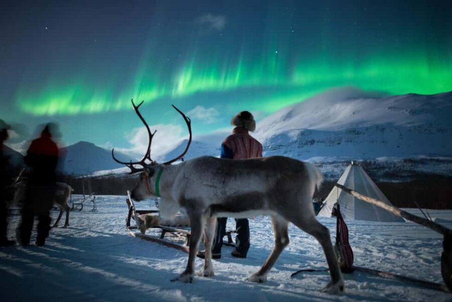 Sami Culture, Northern Lights & Reindeer Visit at Camp Tamok - The Lávvu Experience: Sami Storytelling by an Open Fire