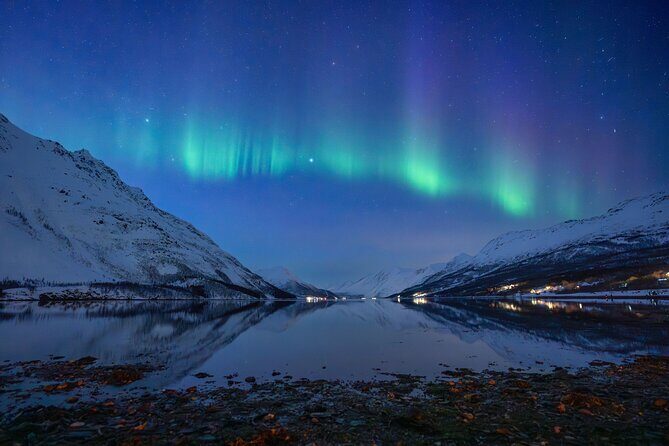 Sami Reindeer Camp Visit and Aurora Wonder Night - Why Tromsø’s Sami camp + Aurora combo makes sense