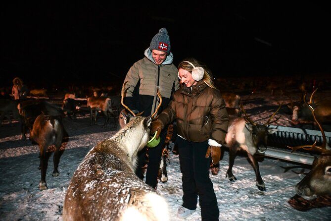 Sami Reindeer Camp Visit and Aurora Wonder Night - The Sami reindeer camp: what you’ll actually do there