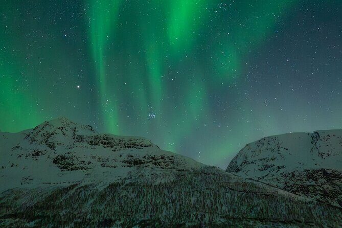 Sami Reindeer Camp Visit and Aurora Wonder Night - The comfort package: heated minibus and overalls that save the night