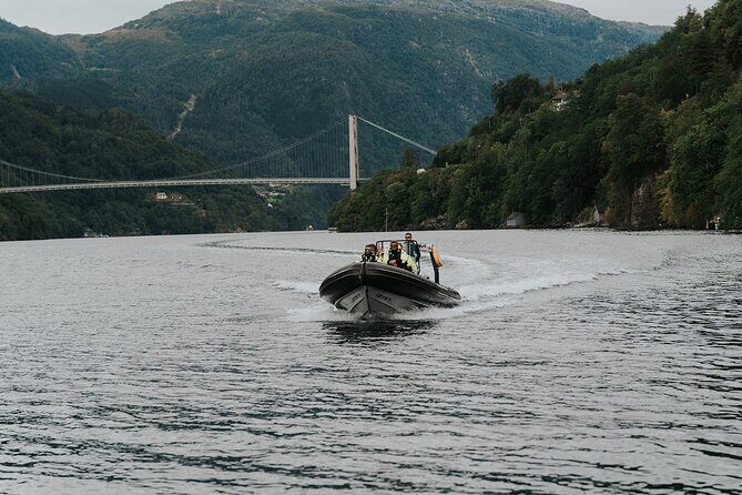 Scenic Hardangerfjord & Fyksesund RIB adventure from Norheimsund - Samlafjorden stops: wider views, fjord villages, and mountain backdrops