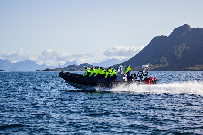 Sea Eagle Safari from Svolvær to Trollfjorden - Stop at Trollfjorden: the fjord stretch you ride for