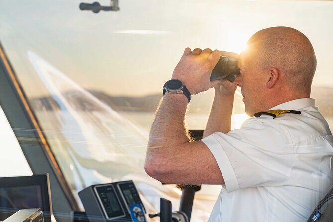 Sea Eagle Sunset Cruise - Price and value: what $84.84 buys you in Lofoten terms