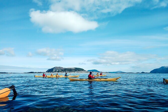 Sea Kayaking In Ålesund - Key things I’d prioritize before you go