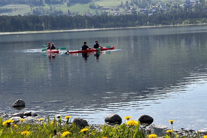 Sea Kayaking Rental - Price and value: is $59.60 per person worth it?