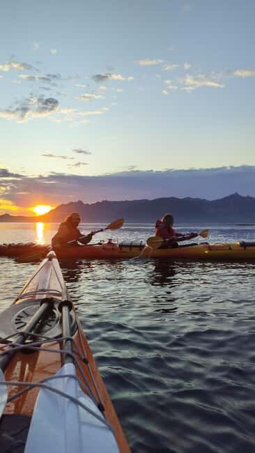 Senja: Guided Small Group Evening Kayaking Tour - Where you start: Senja Roasters, The Natural North, and the drive to water