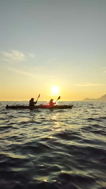 Senja: Guided Small Group Evening Kayaking Tour - Small group pacing: 4 people or up to 6, and why that changes everything