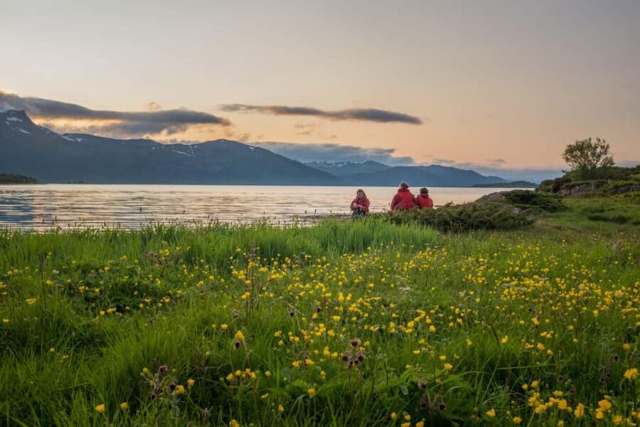 Senja: Guided Small Group Evening Kayaking Tour - Wildlife chances: puffins, eagles, seals, and the joy of slow looking