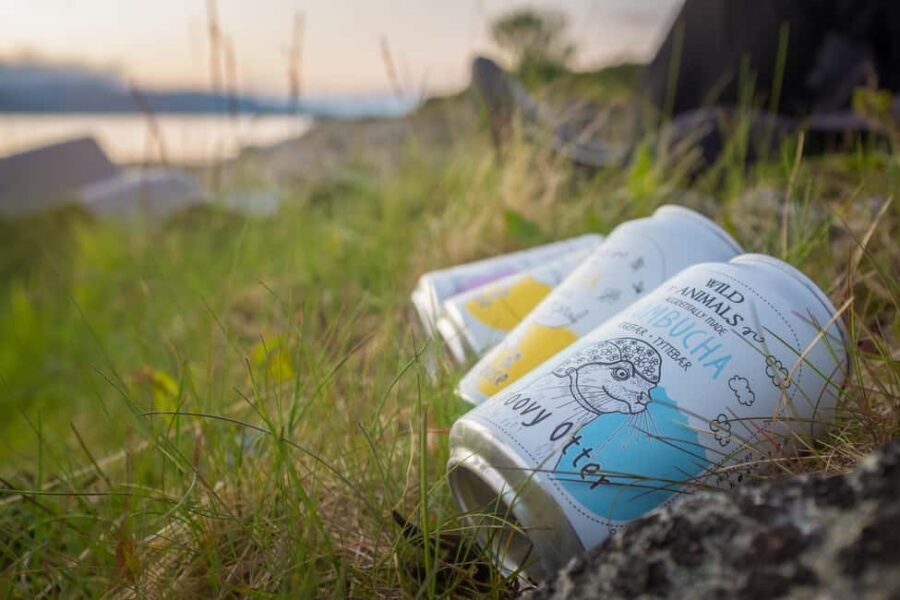 Senja: Guided Small Group Evening Kayaking Tour - The secluded beach kombucha break: five choices and real quiet time