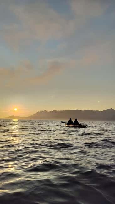 Senja: Guided Small Group Evening Kayaking Tour - Price and value: is $199 worth it?