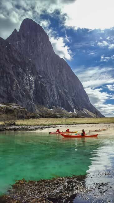 Senja: Guidet Fjord Kayaking in Ånderdalen Nationalpark - Ånderdalen National Park from the water: inside coves and outer drama