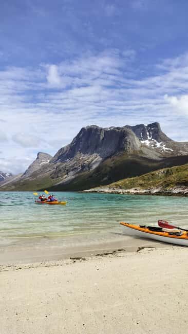 Senja: Guidet Fjord Kayaking in Ånderdalen Nationalpark - The secluded beach picnic and Senja Roasters coffee