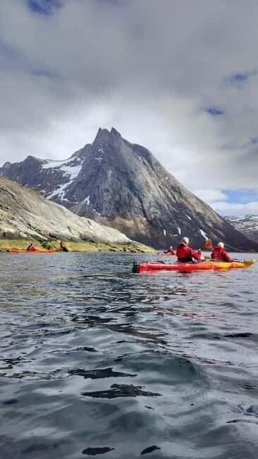 Senja: Guidet Fjord Kayaking in Ånderdalen Nationalpark - Getting to Senja Roasters and why the start matters