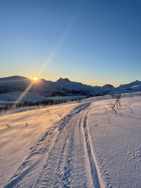 Senja Island: Winter Light Package Deal, 1 Day and 1 Night - The guided Senja day: National Tourist Road stops and big winter scenery
