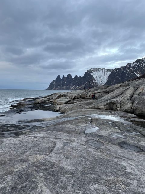 Senja Island: Winter Light Package Deal, 1 Day and 1 Night - Camp Fjordbotn check-in: dinner, breakfast, and why cabins matter