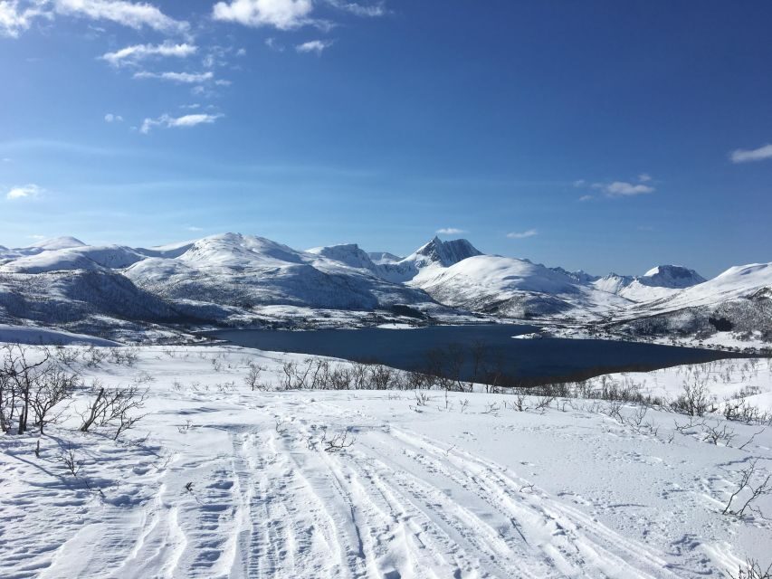 Senja Island: Winter Light Package Deal, 1 Day and 1 Night - Price and value: what $514 buys you in 36 hours